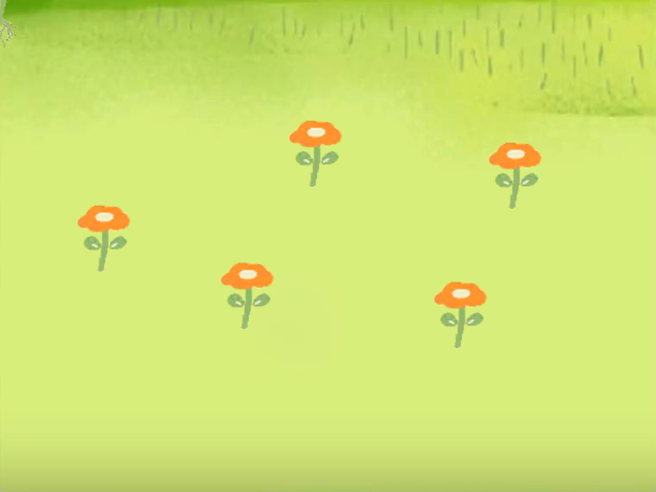 栽花