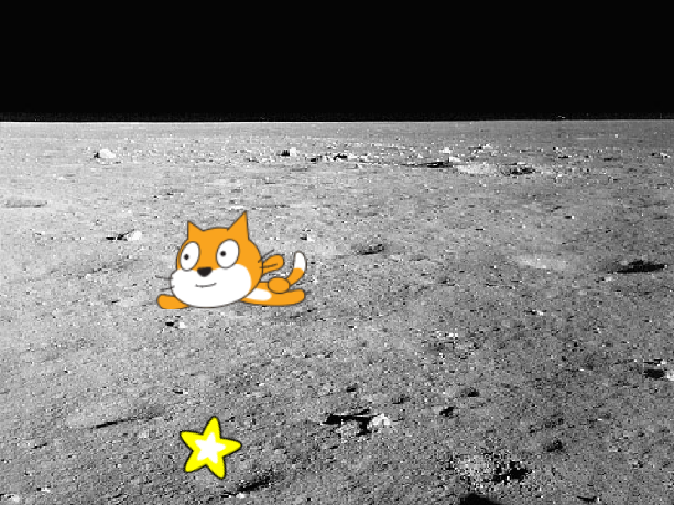 猫咪追星星