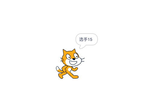 比赛秩序